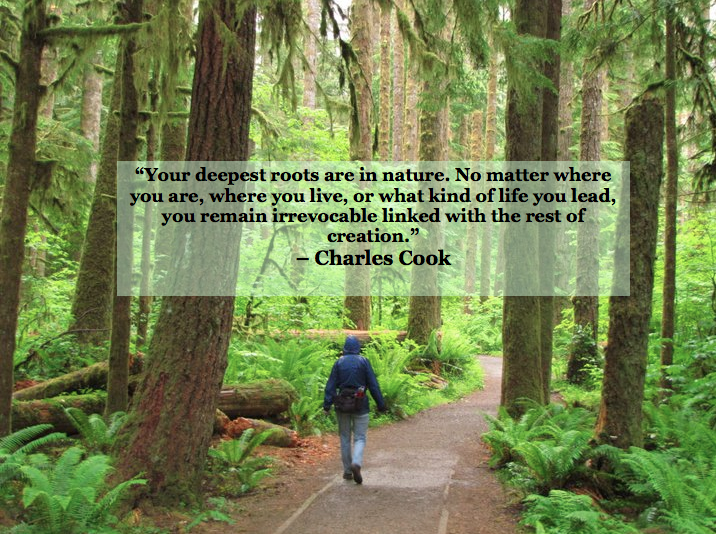 "Your deepest roots are in nature. No Matter where you are, where you live, or what kind of life you lead, you remain irrevocably linked with the rest of creation." -Charles Cook